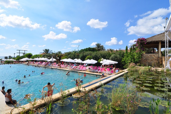 Edde Sands on Sunday